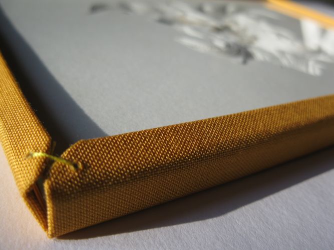 Cadre Courbe Cadre Courbe