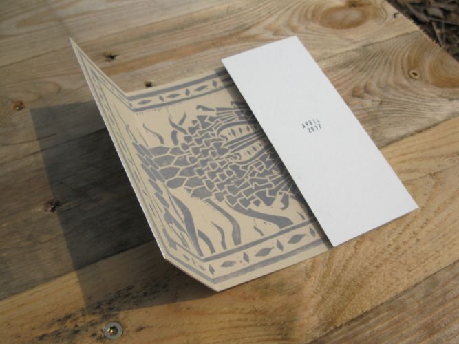 Poisson Ibis Gentiane Poisson Ibis Gentiane