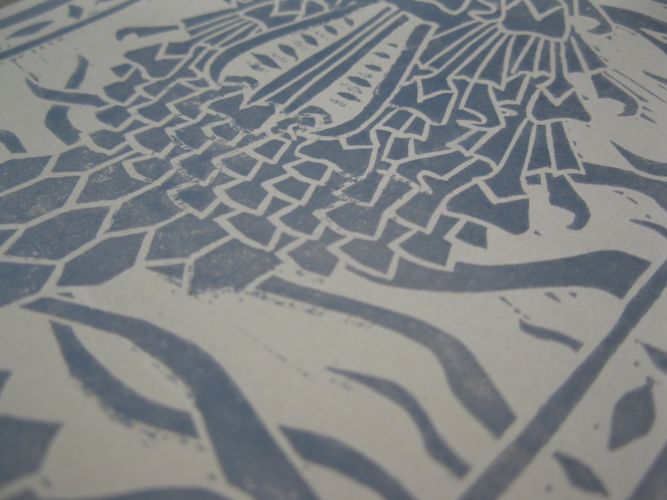 Poisson Ibis Gentiane Poisson Ibis Gentiane