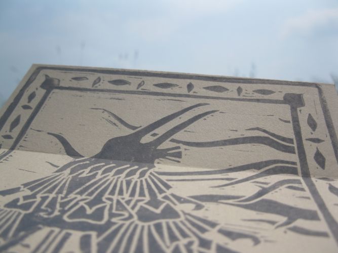 Poisson Ibis Gentiane Poisson Ibis Gentiane