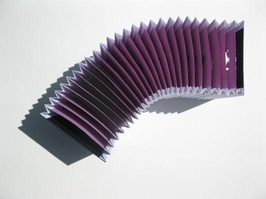 Accords des Campanules