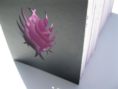 Accords des Campanules