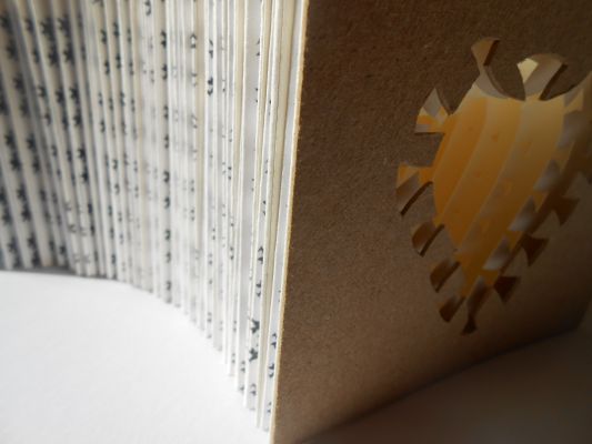 Appareil à Soufflet des Rochers