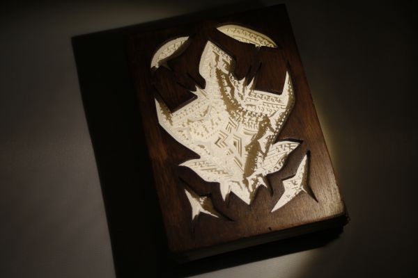 Au Coeur de la Foret