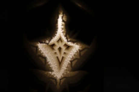 Au Coeur de la Foret