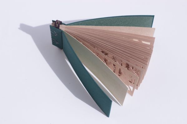 Foret Délicate Foret Délicate