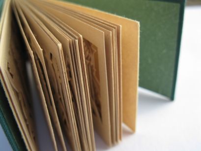 Foret Délicate Foret Délicate