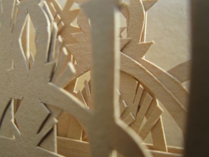 Foret Délicate Foret Délicate