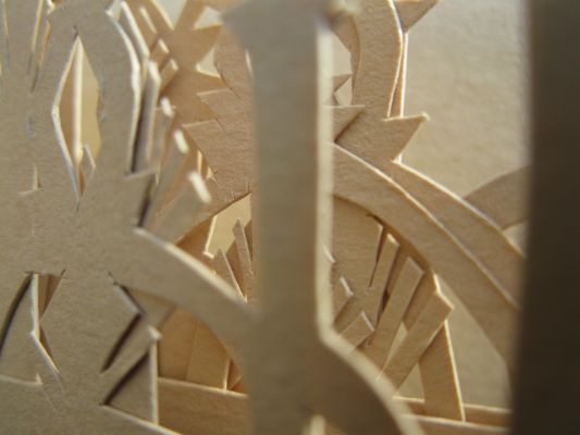 Foret Délicate Foret Délicate