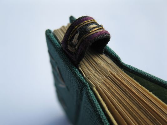 Foret Délicate Foret Délicate