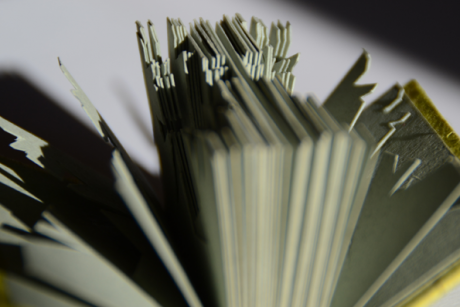 Gris Dansant Gris Dansant