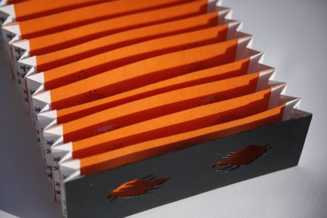 Lunette à Focale Lointaine