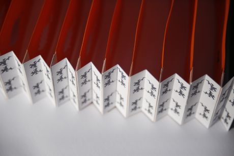 Lunette à Focale Lointaine