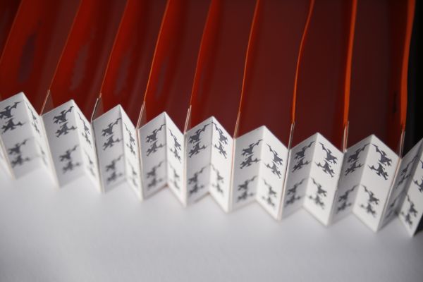 Lunette à Focale Lointaine