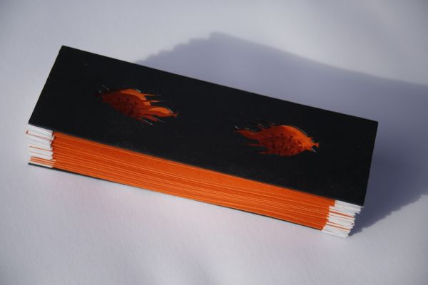 Lunette à Focale Lointaine