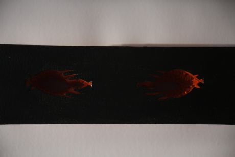 Lunette à Focale Lointaine