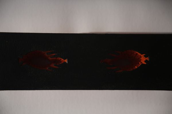 Lunette à Focale Lointaine