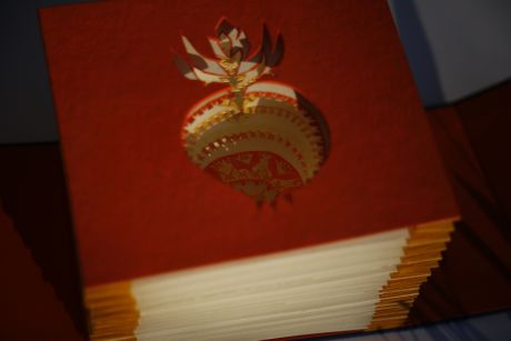 L'Aube d'un Agrume Racine L'Aube d'un Agrume Racine