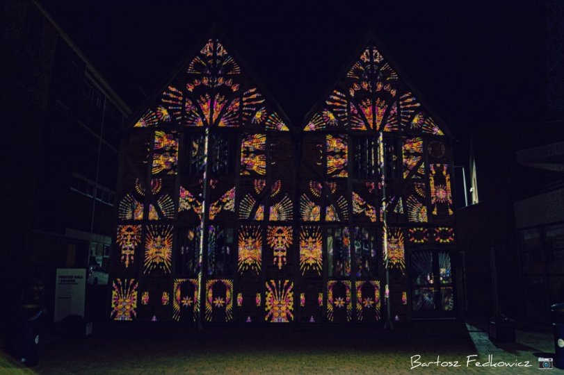 Enlightening Flowers