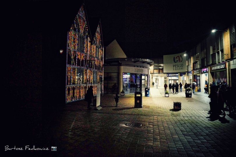 Enlightening Flowers