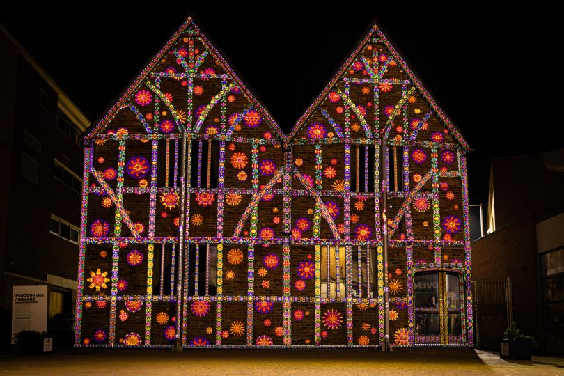 Enlightening Flowers