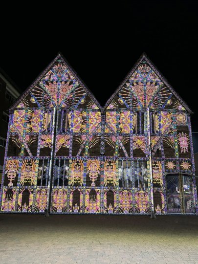 Enlightening Flowers