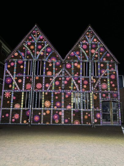 Enlightening Flowers