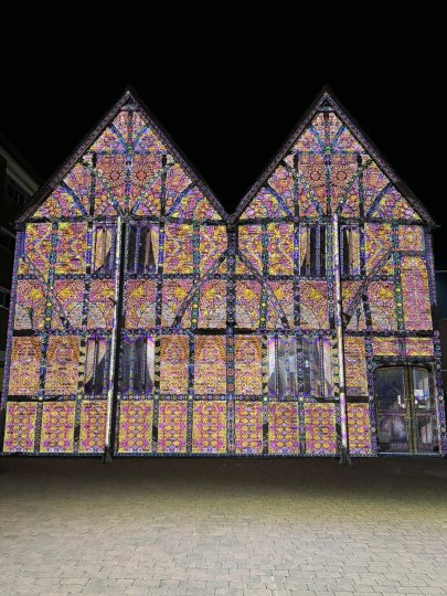 Enlightening Flowers