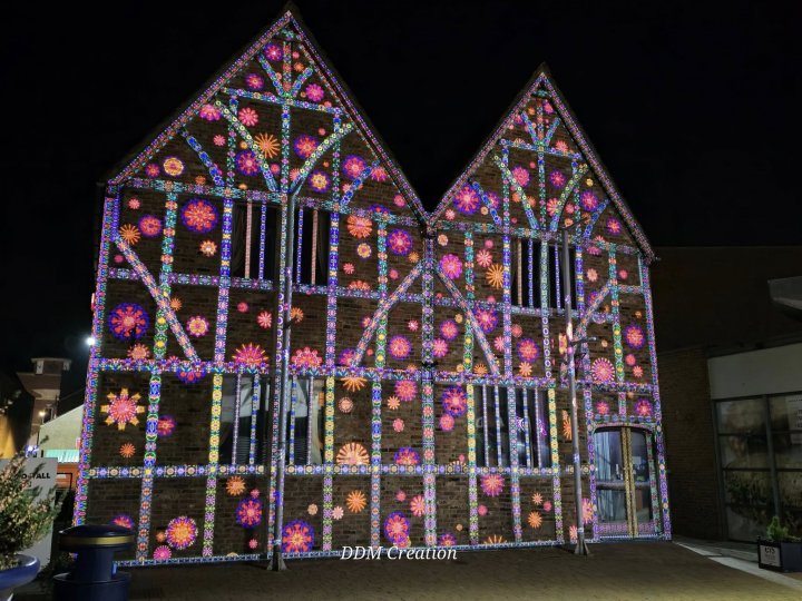 Enlightening Flowers