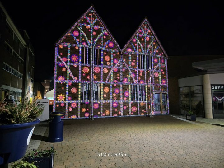 Enlightening Flowers