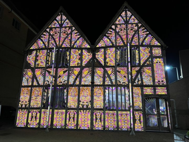 Enlightening Flowers