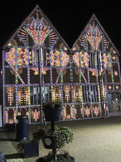 Enlightening Flowers