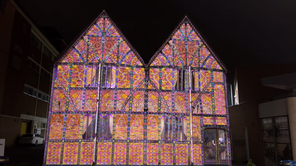 Enlightening Flowers